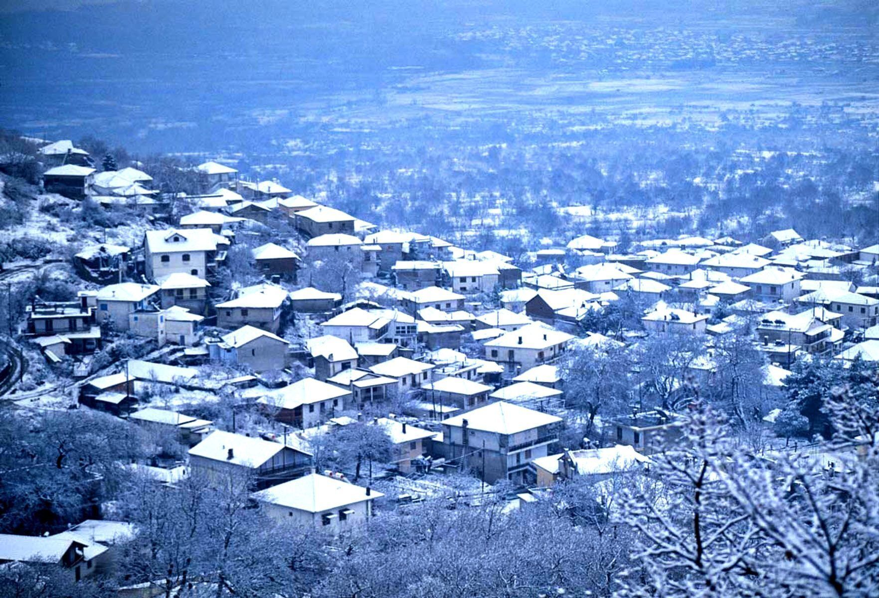 Lake Kerkini – Central Macedonia